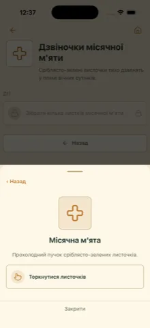 Інвентар